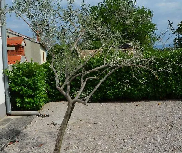 Nyaraló Haus Knott Polje